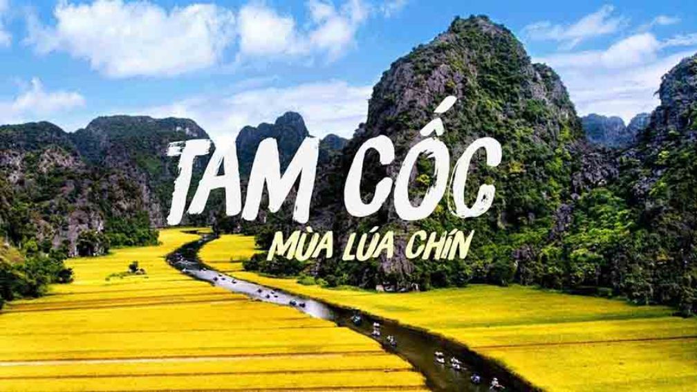 Tour Hoa Lư Tam Có 1 Ngày